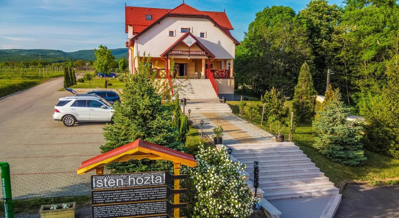 Borhotel Sziluett Farkasmaly Gyöngyös Zewnętrze zdjęcie